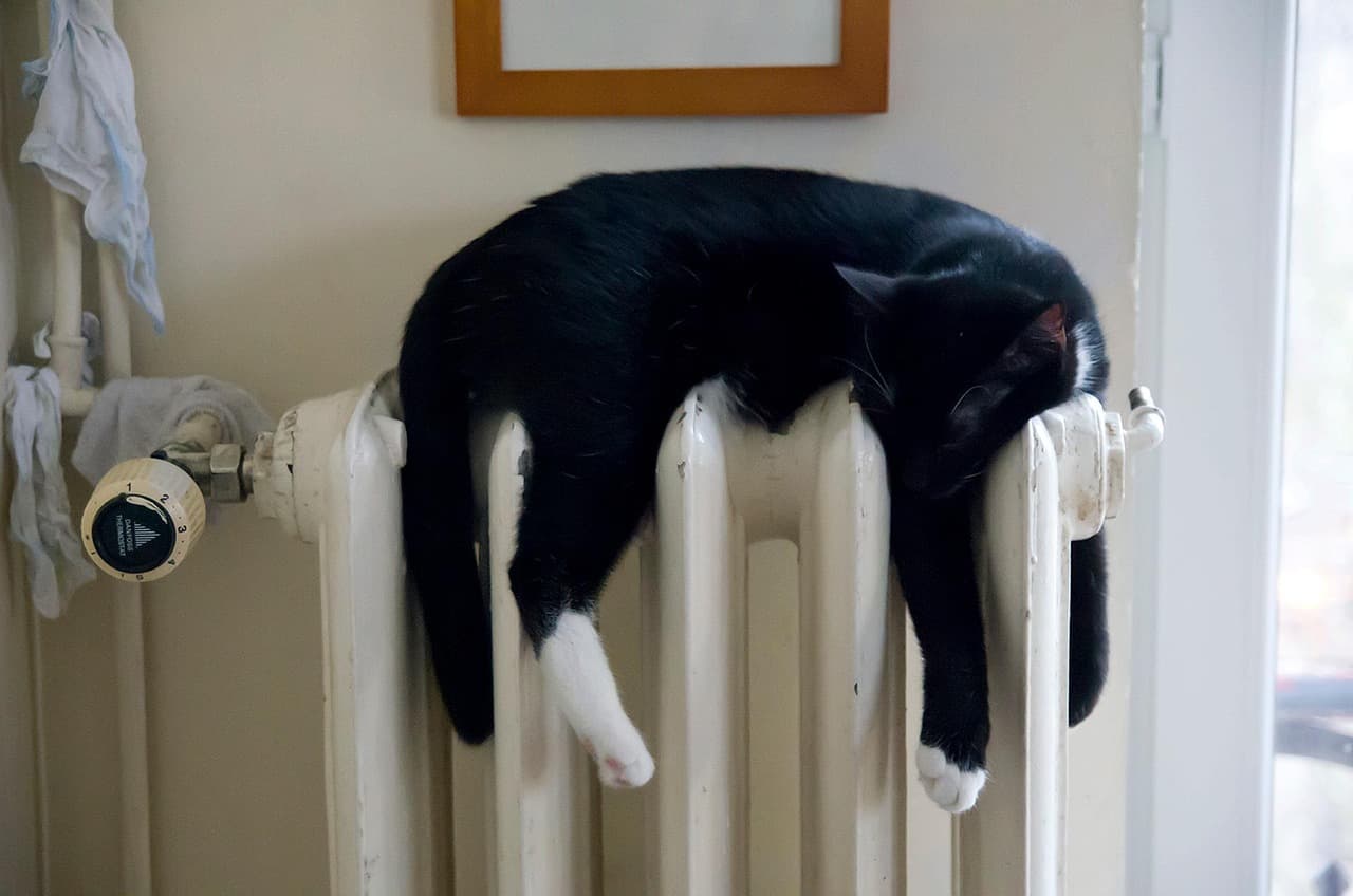 A black and white cat asleep along the top of a white radiator under a window